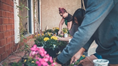 Gardening can be a fun and rewarding hobby, providing opportunities to connect with nature, enjoy fresh produce, and create a beautiful and peaceful outdoor space. Gardening can be done on a small scale, such as in a window box or container garden, or on a larger scale, such as in a community garden or farm. If you're a first-time gardener, here are some tips to help you get started: (Unsplash) Gardening can be a fun and rewarding hobby, providing opportunities to connect with nature, enjoy fresh produce, and create a beautiful and peaceful outdoor space. Gardening can be done on a small scale, such as in a window box or container garden, or on a larger scale, such as in a community garden or farm. If you're a first-time gardener, here are some tips to help you get started: (Unsplash)
