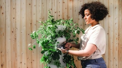 Water properly: Most plants need about an inch of water per week, either from rainfall or watering. Watering deeply once or twice a week is better than frequent shallow watering. (Unsplash) Water properly: Most plants need about an inch of water per week, either from rainfall or watering. Watering deeply once or twice a week is better than frequent shallow watering. (Unsplash)