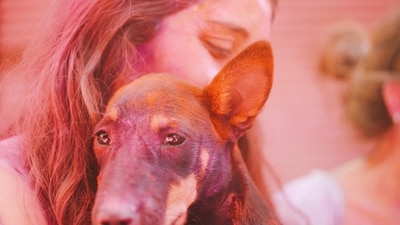 Animals can be sensitive to the colours and chemicals used in Holi, and they can also be easily scared by loud noises and large crowds. (Pexels ) Animals can be sensitive to the colours and chemicals used in Holi, and they can also be easily scared by loud noises and large crowds. (Pexels )