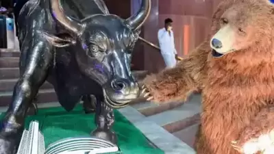 Benchmark indices are expected to open in green on Friday amidst positive global cues. (PTI) Benchmark indices are expected to open in green on Friday amidst positive global cues. (PTI)