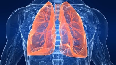 New lung health study identifies importance of early-life factors (Photo by Twitter/theoliveranwar) New lung health study identifies importance of early-life factors (Photo by Twitter/theoliveranwar)