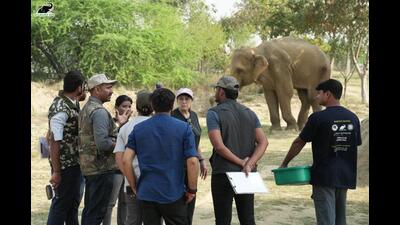 Global experts discuss elephant welfare in Mathura (Sourced) Global experts discuss elephant welfare in Mathura (Sourced)