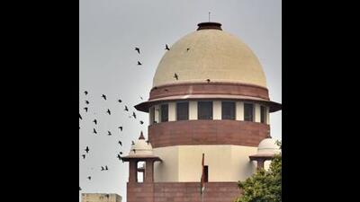 The apex court, in its detailed order made available on Saturday, added that the order must not be construed to cast any lapse or deficiency of the law enforcement agency. (HT File Photo) The apex court, in its detailed order made available on Saturday, added that the order must not be construed to cast any lapse or deficiency of the law enforcement agency. (HT File Photo)