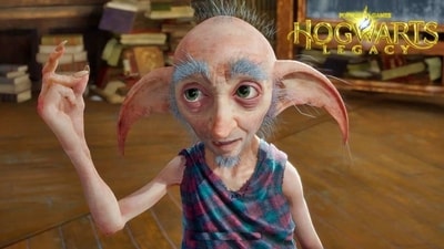 Hogwarts Legacy house-elf Deek