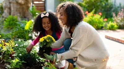 Have Fun: Gardening should be enjoyable, so don't be afraid to experiment and have fun. Try new plants and techniques, and see what works best for you. (Unsplash) Have Fun: Gardening should be enjoyable, so don't be afraid to experiment and have fun. Try new plants and techniques, and see what works best for you. (Unsplash)