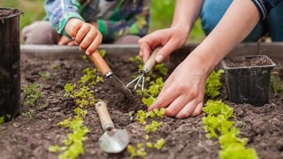 Gardening is a great way to get outdoors and enjoy nature, while also growing your own food and beautiful flowers. For those new to gardening, it can be a bit daunting. But don't worry! With these 6 best gardening tips and tricks for beginners, you'll be a pro in no time. (Unsplash) Gardening is a great way to get outdoors and enjoy nature, while also growing your own food and beautiful flowers. For those new to gardening, it can be a bit daunting. But don't worry! With these 6 best gardening tips and tricks for beginners, you'll be a pro in no time. (Unsplash)