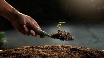 Start Small: Don't jump into a huge garden project right away. Start small and work your way up. This will give you a chance to learn the basics and get comfortable with gardening. (Unsplash) Start Small: Don't jump into a huge garden project right away. Start small and work your way up. This will give you a chance to learn the basics and get comfortable with gardening. (Unsplash)