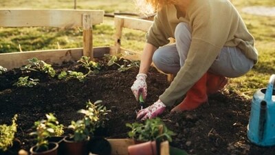 Prepare Your Soil: Preparing your soil is key to successful gardening. Make sure to use quality compost and organic matter to enrich your soil and help it retain moisture. (Unsplash) Prepare Your Soil: Preparing your soil is key to successful gardening. Make sure to use quality compost and organic matter to enrich your soil and help it retain moisture. (Unsplash)