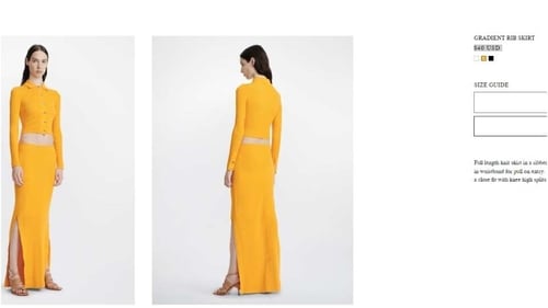 The price of the skirt Kiara Advani wore. (dionlee.com)