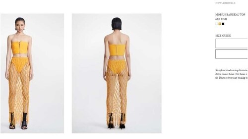 The price of the bandeau top Kiara Advani wore. (dionlee.com)