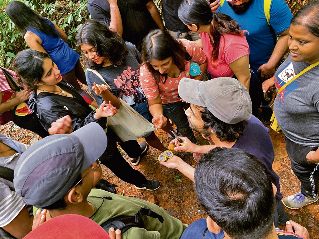 An urban foraging walk conducted by Nuvedo. An urban foraging walk conducted by Nuvedo.