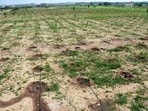 The Bihar government has so far distributed over 2.56 lakh acres of land across the state. The Bihar government has so far distributed over 2.56 lakh acres of land across the state.
