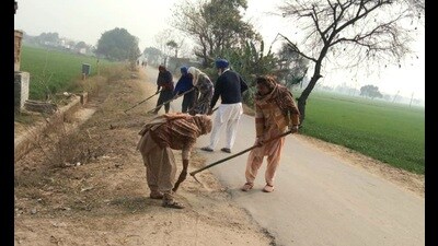 Field agriculture teams submitted reports of the adverse impact of a sudden push to legume in the last ‘rabi zaid’ (third crop sown between rabi and kharif seasons) in the semi-arid districts of Punjab. (HT Photo) Field agriculture teams submitted reports of the adverse impact of a sudden push to legume in the last ‘rabi zaid’ (third crop sown between rabi and kharif seasons) in the semi-arid districts of Punjab. (HT Photo)