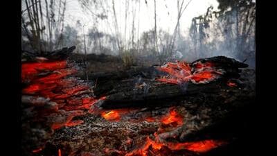Forest fire incidents have risen in the forest areas of Pune with three fires having been reported recently in the Sinhagad forest area, Hinjewadi and Panchgaon. (REPRESENTATIVE PIC) Forest fire incidents have risen in the forest areas of Pune with three fires having been reported recently in the Sinhagad forest area, Hinjewadi and Panchgaon. (REPRESENTATIVE PIC)