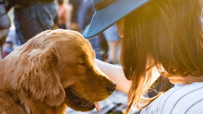 Socialize Your Dog: Socializing your pup is an important part of training. Take them out to meet other people and dogs so they can learn how to interact with others. (Unsplash) Socialize Your Dog: Socializing your pup is an important part of training. Take them out to meet other people and dogs so they can learn how to interact with others. (Unsplash)