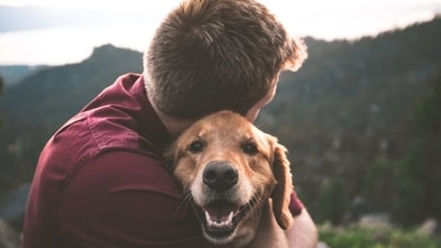 Stay Positive: Positive reinforcement is key when it comes to training your dog. Reward them with treats and praise when they do something right. (Unsplash) Stay Positive: Positive reinforcement is key when it comes to training your dog. Reward them with treats and praise when they do something right. (Unsplash)