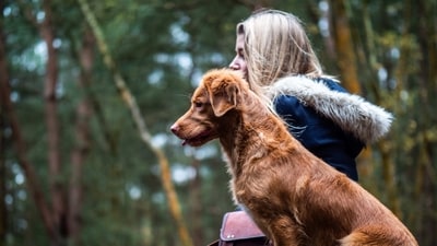 Training your pup is a great way to create a strong bond and keep them safe. With the right tips and tricks, you can successfully train your pup in no time. By setting rules and boundaries, staying positive, being consistent, using commands, making training fun, socializing your pup, being patient, taking breaks, and getting professional help, you can ensure that your pup is well-behaved and happy. (Unsplash) Training your pup is a great way to create a strong bond and keep them safe. With the right tips and tricks, you can successfully train your pup in no time. By setting rules and boundaries, staying positive, being consistent, using commands, making training fun, socializing your pup, being patient, taking breaks, and getting professional help, you can ensure that your pup is well-behaved and happy. (Unsplash)