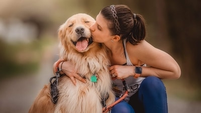 Every pet owner wants to have a well-behaved dog, and with the right training, it's possible. Training your dog is essential for their safety and the safety of others. It also helps to create a strong bond between you and your pet. With the right tips and tricks, you can successfully train your pup in no time. Here are 9 useful dog training tips every pet owner should know. (Unsplash) Every pet owner wants to have a well-behaved dog, and with the right training, it's possible. Training your dog is essential for their safety and the safety of others. It also helps to create a strong bond between you and your pet. With the right tips and tricks, you can successfully train your pup in no time. Here are 9 useful dog training tips every pet owner should know. (Unsplash)