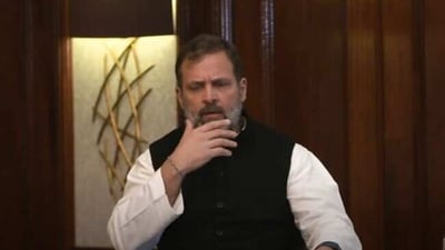Rahul Gandhi said his Cambridge speech has nothing defaming India.
