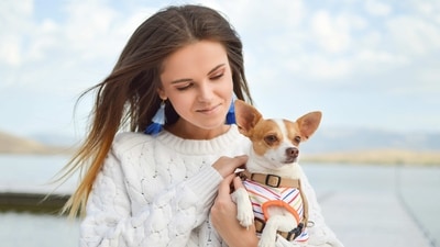 Be Patient: Training takes time, so be patient with your pup. Don't expect them to learn everything overnight. (Unsplash) Be Patient: Training takes time, so be patient with your pup. Don't expect them to learn everything overnight. (Unsplash)