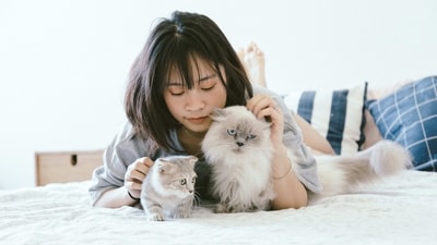 Take Breaks: Training can be exhausting for both you and your pup. Take breaks when needed so that you can both stay focused and motivated. (Unsplash) Take Breaks: Training can be exhausting for both you and your pup. Take breaks when needed so that you can both stay focused and motivated. (Unsplash)
