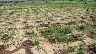 The Bihar government has so far distributed over 2.56 lakh acres of land across the state. (Representative image) The Bihar government has so far distributed over 2.56 lakh acres of land across the state. (Representative image)