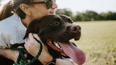 Set Rules and Boundaries: It's important to set clear rules and boundaries for your pup. This will help them understand what is expected of them and will create a sense of structure. (Unsplash) Set Rules and Boundaries: It's important to set clear rules and boundaries for your pup. This will help them understand what is expected of them and will create a sense of structure. (Unsplash)