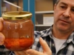 Researcher Brendan Foley holds up a jar containing saffron preserved in water. 