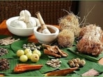This Indian traditional Ayurvedic herbal drug can heal ailing kidney, suggests a new study This Indian traditional Ayurvedic herbal drug can heal ailing kidney, suggests a new study