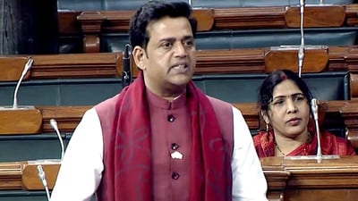 Bharatiya Janata Party MP Ravi Kishan. (ANI file)