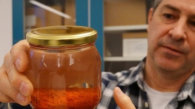 Researcher Brendan Foley holds up a jar containing saffron preserved in water. (REUTERS)