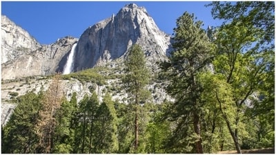 Yosemite National Park, USA: Yosemite National Park is a stunning wilderness area in California. From the towering granite cliffs to the cascading waterfalls, Yosemite is a sight to behold. The park is also home to a variety of wildlife, including black bears and mule deer. (File photo) Yosemite National Park, USA: Yosemite National Park is a stunning wilderness area in California. From the towering granite cliffs to the cascading waterfalls, Yosemite is a sight to behold. The park is also home to a variety of wildlife, including black bears and mule deer. (File photo)
