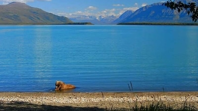 8. Alaska: With its wild and rugged coastline, stunning glaciers, and majestic mountains, Alaska is a great destination for any season. From the wild and rugged coastline of the Inside Passage to the stunning glaciers of Glacier Bay, Alaska is the perfect place to escape the hustle and bustle of everyday life. (Pixabay) 8. Alaska: With its wild and rugged coastline, stunning glaciers, and majestic mountains, Alaska is a great destination for any season. From the wild and rugged coastline of the Inside Passage to the stunning glaciers of Glacier Bay, Alaska is the perfect place to escape the hustle and bustle of everyday life. (Pixabay)