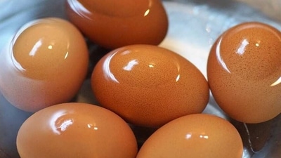 8. Hard-Boiled Eggs: Hard-boiled eggs are a great snack for weight loss because they are low in calories and high in protein. They can be enjoyed plain or topped with herbs, spices, and other healthy ingredients for added flavor. (Pixabay) 8. Hard-Boiled Eggs: Hard-boiled eggs are a great snack for weight loss because they are low in calories and high in protein. They can be enjoyed plain or topped with herbs, spices, and other healthy ingredients for added flavor. (Pixabay)