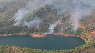 The ongoing dry heat wave is said to be a major contributory factor that has prompted wildfires in Goa’s Mhadei wildlife sanctuary. (HT Photo) The ongoing dry heat wave is said to be a major contributory factor that has prompted wildfires in Goa’s Mhadei wildlife sanctuary. (HT Photo)