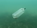 A plastic bottle is seen floating in an Adriatic sea of the island Mljet, Croatia.(REUTERS)