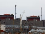 Russia-Ukraine War: Moscow's troops seized the plant on March 4, 2022, just days after invading Ukraine.