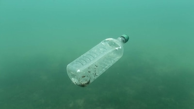 A plastic bottle is seen floating in an Adriatic sea of the island Mljet, Croatia. (REUTERS)