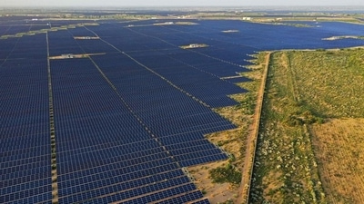 Rajasthan (in pic) and Tamil Nadu have started their clean electricity transition, but progress has not been consistent across all the dimensions. (AFP)