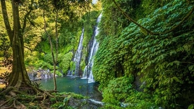 Bali: This Indonesian island is known for its stunning beaches, lush rainforests, and vibrant culture. Bali is also home to a variety of wildlife, including monkeys, elephants, and tigers. The island is committed to protecting its natural resources and has established a number of eco-friendly initiatives, such as its commitment to reduce plastic waste. (Unsplash)