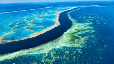 Great Barrier Reef: This UNESCO World Heritage Site is located off the coast of Australia and is home to a variety of wildlife, including whales, dolphins, and turtles. The reef is committed to protecting its natural resources and has established a number of eco-friendly initiatives, such as the Great Barrier Reef Marine Park Authority. (Unsplash)