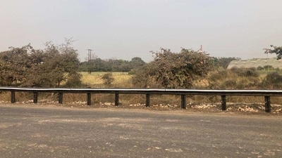 The 200-meter long bamboo crash barrier is christened as "Bahu Balli" (Twitter/ Nitin Gadkari ) The 200-meter long bamboo crash barrier is christened as "Bahu Balli" (Twitter/ Nitin Gadkari )