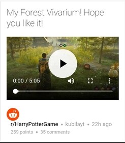 Forest Vivarium