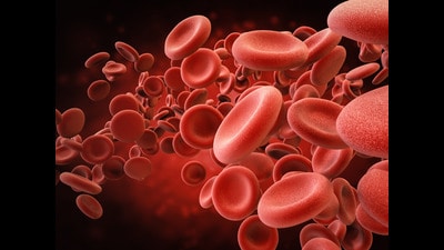 A 3D rendering of red blood cells. (Shutterstock) A 3D rendering of red blood cells. (Shutterstock)