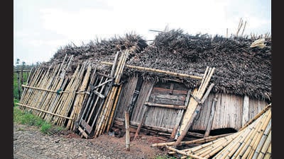 A traditional house on the east coast of Madagascar destroyed in the aftermath of cyclone Freddy in Mananjary on February 23, 2023. (AFP) A traditional house on the east coast of Madagascar destroyed in the aftermath of cyclone Freddy in Mananjary on February 23, 2023. (AFP)