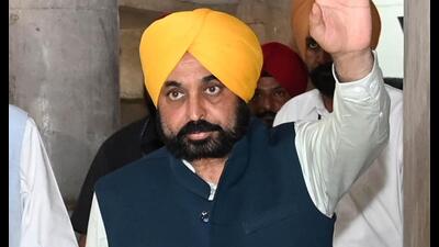 Bhagwant Mann, Punjab CM. (Hindustan Times) Bhagwant Mann, Punjab CM. (Hindustan Times)