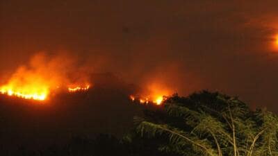 Forest fire at Mhadei Wildlife Sanctuary (HT Photo) Forest fire at Mhadei Wildlife Sanctuary (HT Photo)