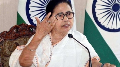 Mamata Banerjee added that not all poppies are drugs. (ANI) Mamata Banerjee added that not all poppies are drugs. (ANI)