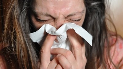 Influenza H3N2 is predominant among all influenza cases since the beginning of this year, (Pixabay)