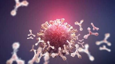 Virus protection. Antibodies and viral infection. Immune defense of the body. Attack on antigens 3D illustration (Siarhei - stock.adobe.com) Virus protection. Antibodies and viral infection. Immune defense of the body. Attack on antigens 3D illustration (Siarhei - stock.adobe.com)